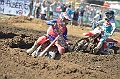 _ROB6961 (Copy)